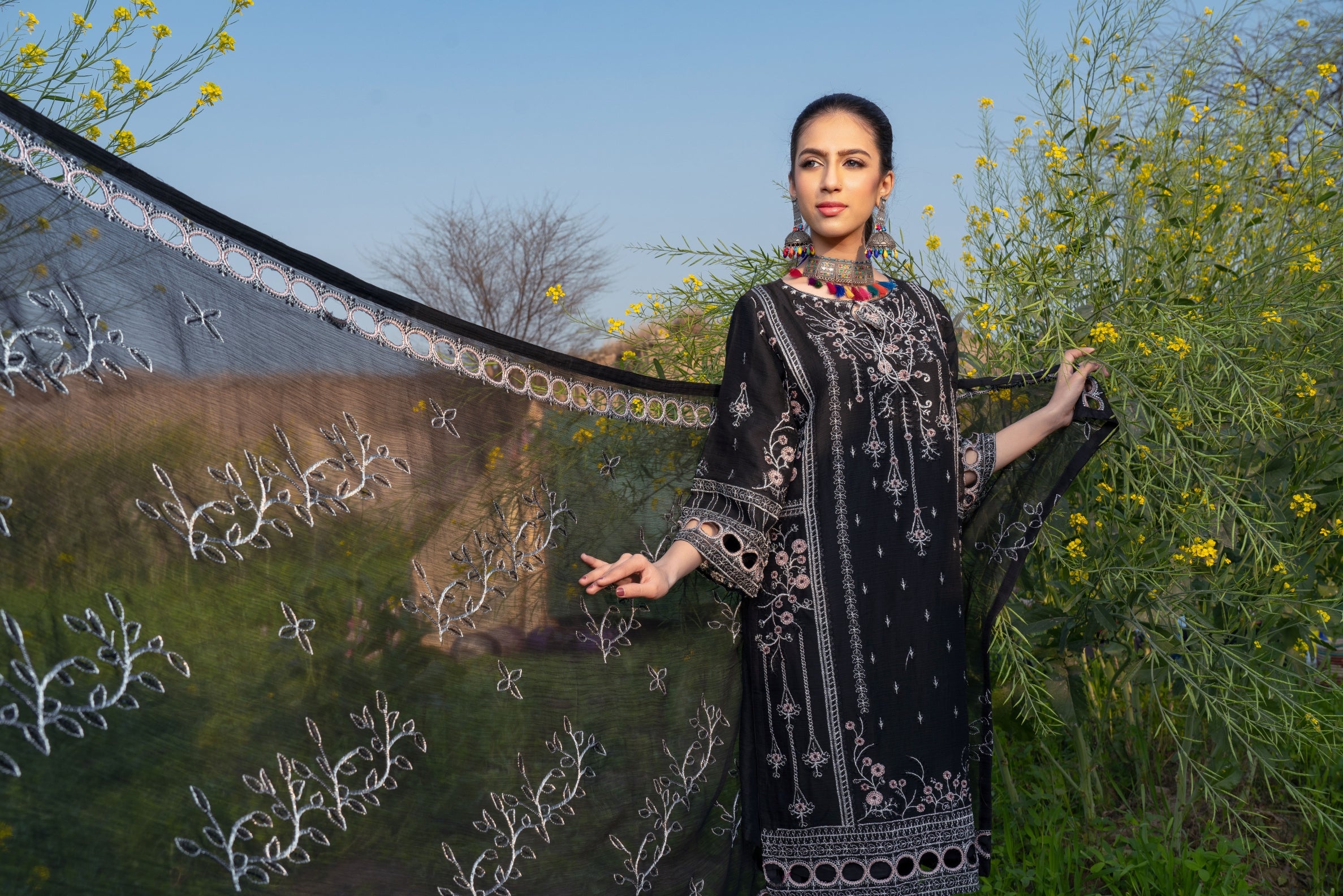 RANG-E-FALAK by Saimb - Stitched Embroidered 3PC Crinkle Chiffon