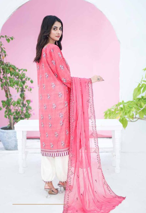 SANA SARA 3PC EMBROIDERED CAMBRIC WITH CUTWORK CHIFFON DUPATTA SERIES